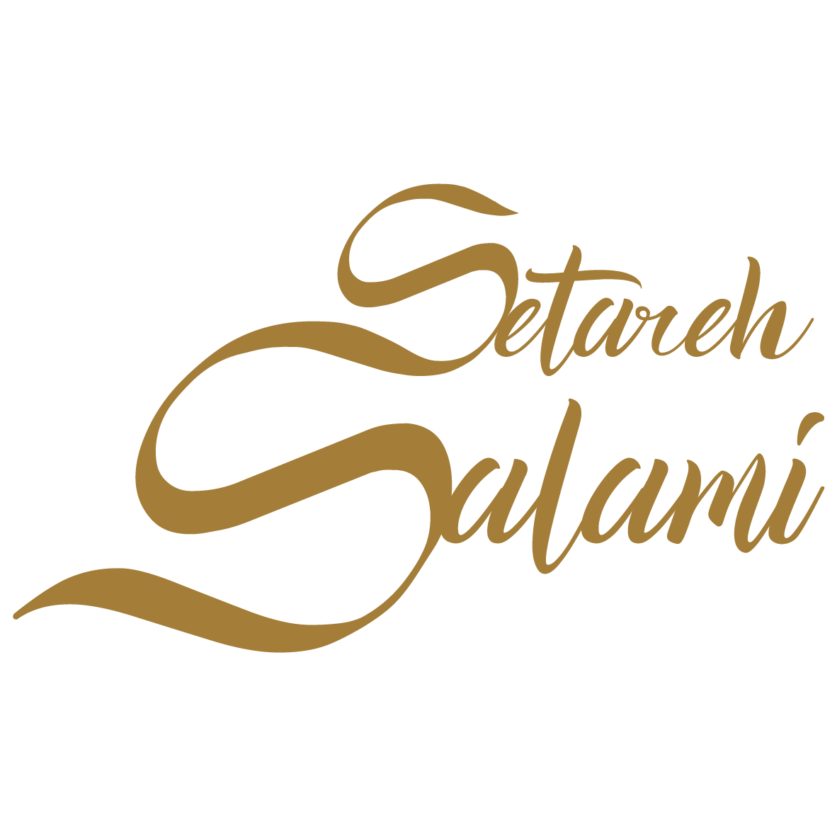 setareh salami